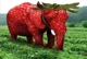 Strawberry Elephant