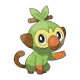 Grookey