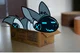 Protogen