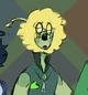 Robert Peridot