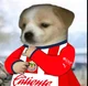 Chivas