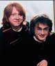 Harry X Ron X YN