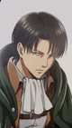 Levi Ackerman 