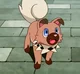 Rockruff