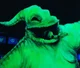 Oogie Boogie