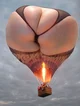 The ass