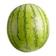a literal watermelon