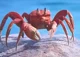 Crab Therapist
