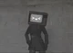 TV WOMAN