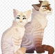 Royal Warrior Cat RP