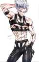 Stripper Garou
