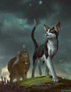 Warrior cats