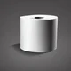 toilet paper