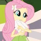 Fluttershy
