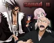 Bleach 11th Division
