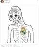 Un madridista 