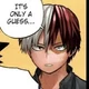 Todoroki Shoto