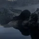 SEA Mermaid 