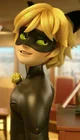 Cat noir