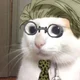 You