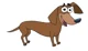 Marty the Dachshund