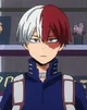 Shoto todoroki