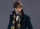 Newt Scamander