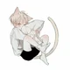 Your cat boy