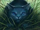 THUNDERCLAN