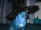 Pupper Witch