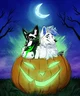 gay holloween furry
