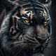 Melanistic Tiger