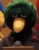 Duck Guy
