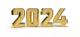 The Year 2024