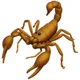 Scorpion emoji