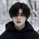 jimin vampire 