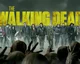 TWD REACT