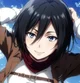 Mikasa Ackermann 