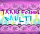 -Transformers Multi-