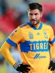 Andre pierre gignac