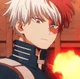 Shoto Todoroki