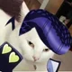 CAT JOSUKE