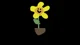 Friendship flower