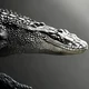 Crocodile 