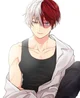 Shoto Todoroki 