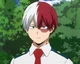 Shoto T