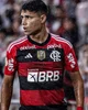 Luiz Araujo 