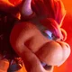 -Bowser-