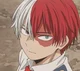 Shoto Todoroki