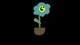 Baby Flower